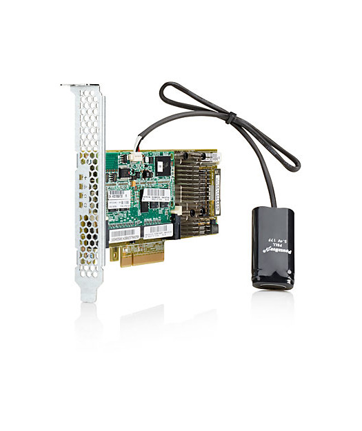 HP Smart Array P430/2G Controller