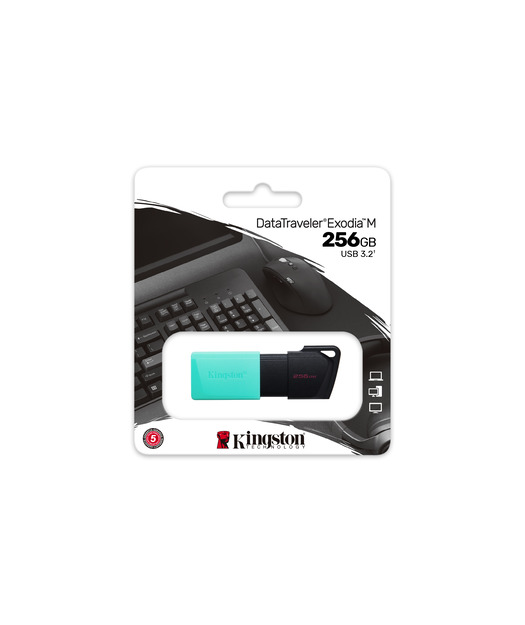 256GB USB 3.2 Gen 1 DataTraveler Exodia M (Black + Teal)