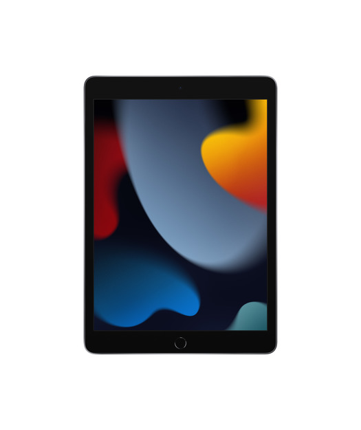 IPAD WI-FI 256GB SPACE GRAY-TUR