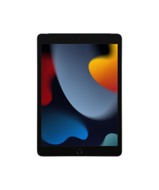 IPAD WI-FI CL 64GB SPG-TUR
