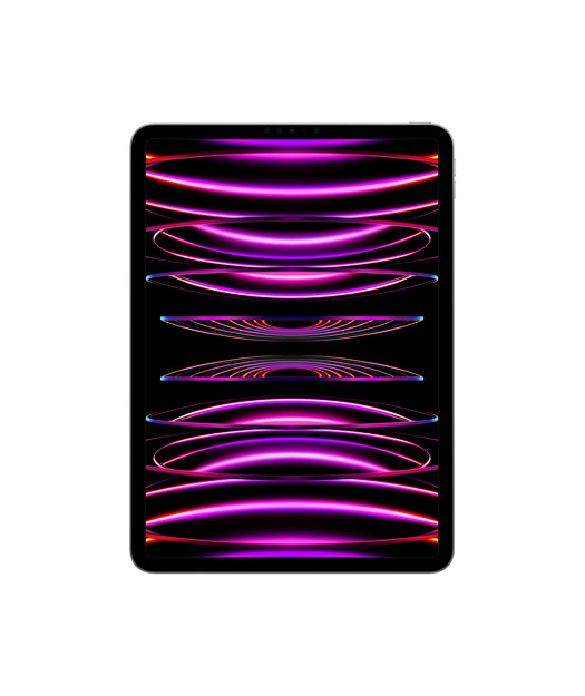 IPAD PRO 11 WIFI 2TB SPACE GRAY-TUR
