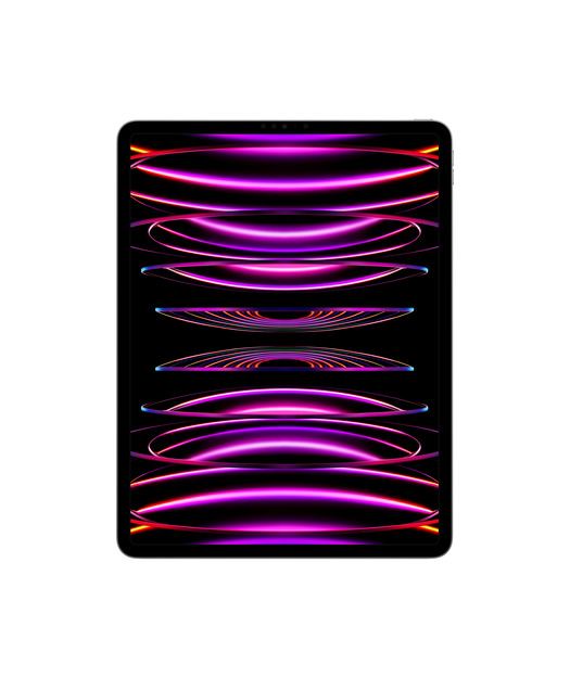 IPAD PRO 12.9 WIFI 256GB SPACE GRAY-TUR