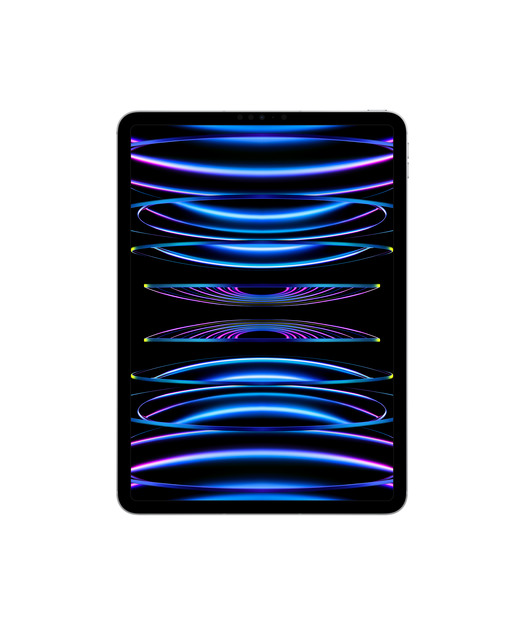 IPAD PRO 11 WF CL 1T SLV-TUR