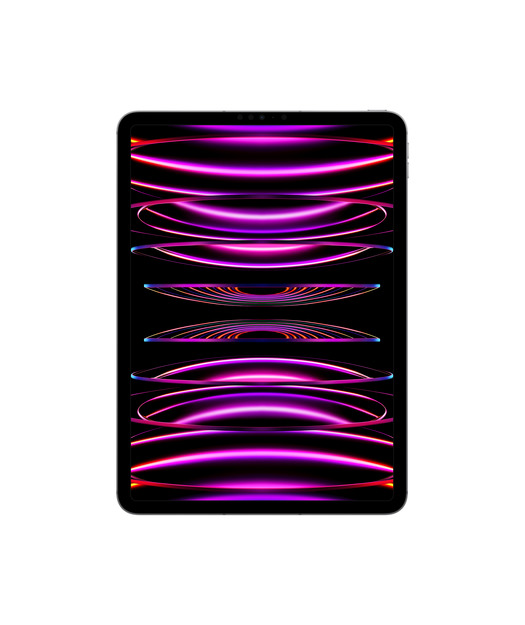 IPAD PRO 11 WF CL 2T GRY-TUR