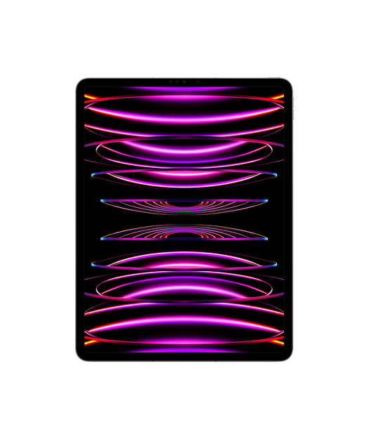 IPAD PRO 12.9 WF CL 1T GRY-TUR