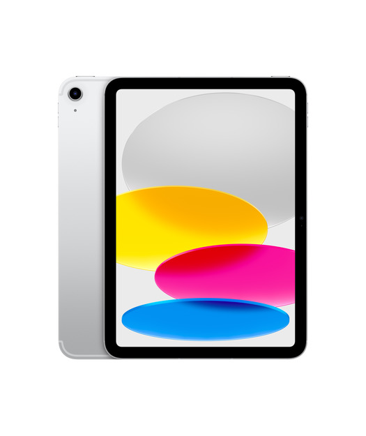 IPAD WF CL 256GB SILVER-TUR