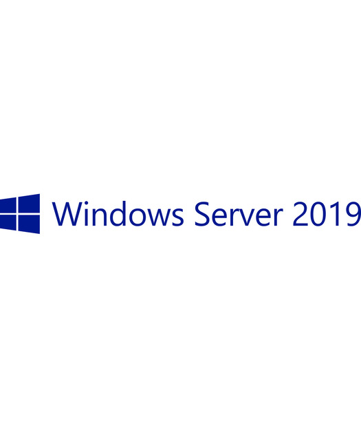 MS WS 2019 Essentials edition ROK