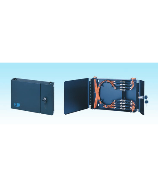 DataLight Fiber Optik Duvar Tipi Patch P