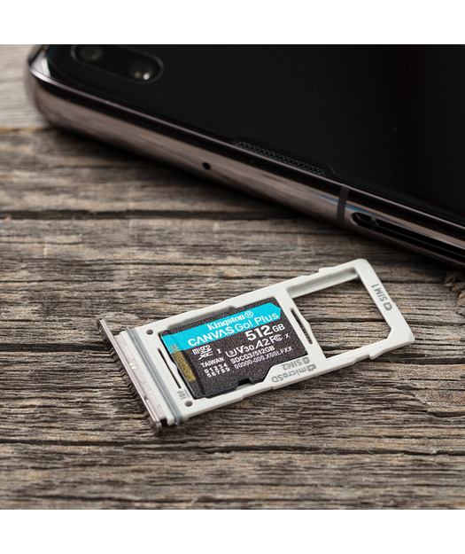 512GB microSDXC Canvas Go Plus 170R A2 U3 V30 Card + ADP