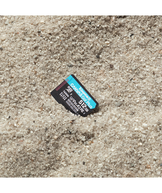 512GB microSDXC Canvas Go Plus 170R A2 U3 V30 Card + ADP