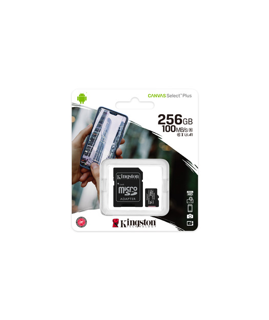 Kingston 256GB microSDXC C Select Plus