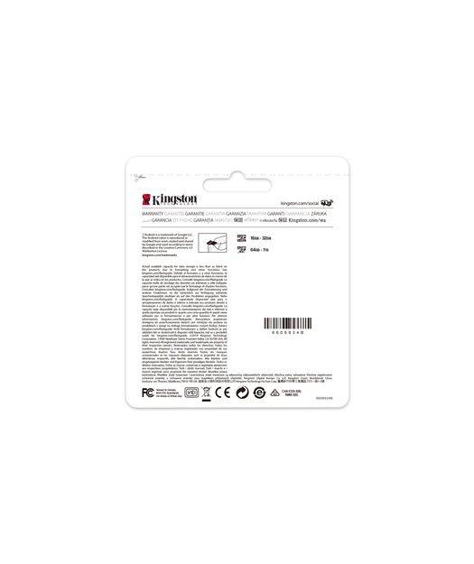 Kingston 256GB microSDXC C Select Plus