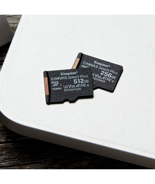 Kingston 256GB microSDXC C Select Plus