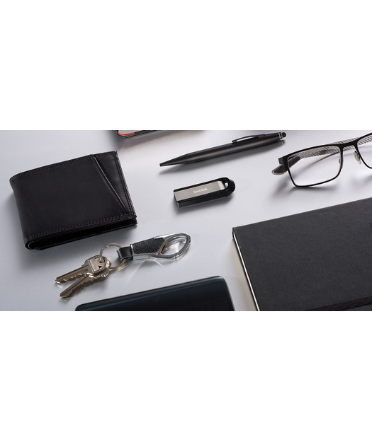 SanDisk Extreme Go 256GB 3.2 Flash Drive