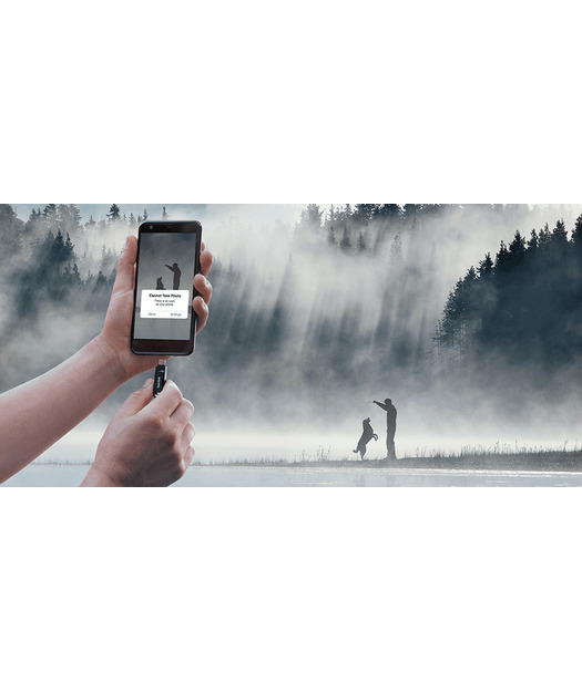 SanDisk Ultra Dual Drive Go USB Type C 256GB