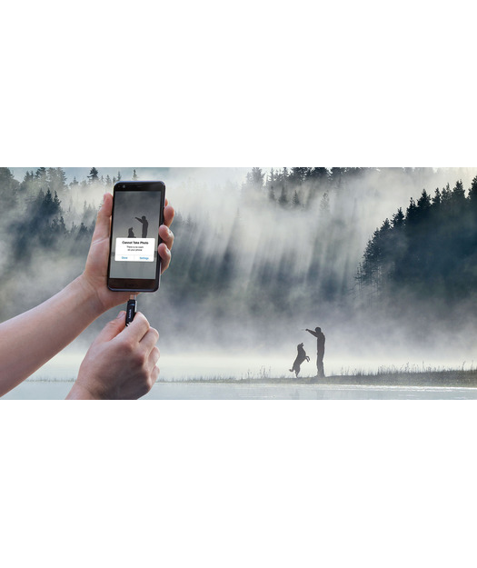 SanDisk Ultra Dual Drive Go Type-C 512GB