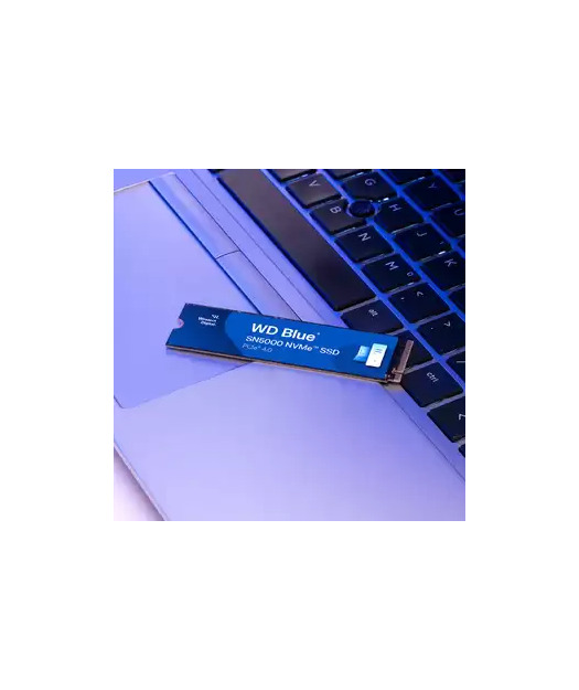 WD Blue® SN5000 NVMe™ SSD -  2 TB