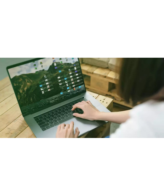 WD Green™ SN350 NVMe™ SSD 500 gb