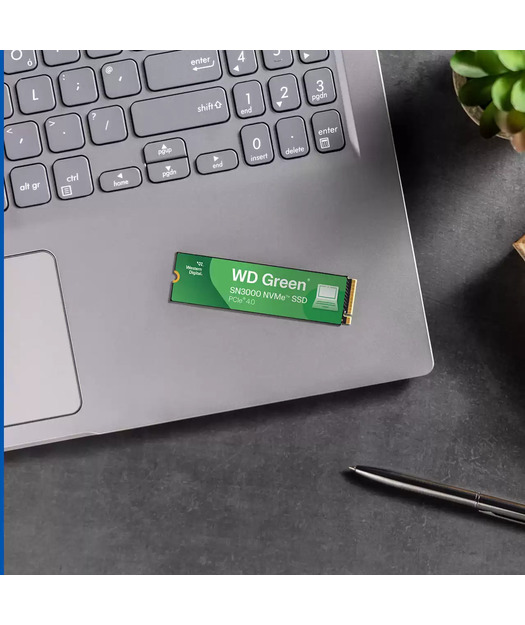 WD Green SN3000 NVMe SSD - 500GB