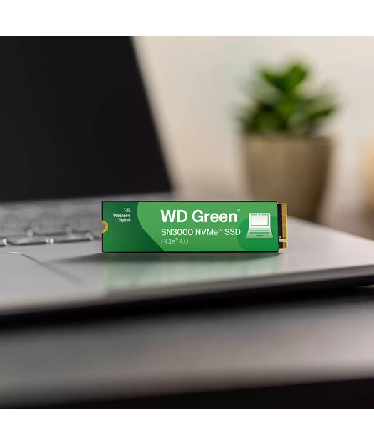WD Green SN3000 NVMe SSD - 500GB
